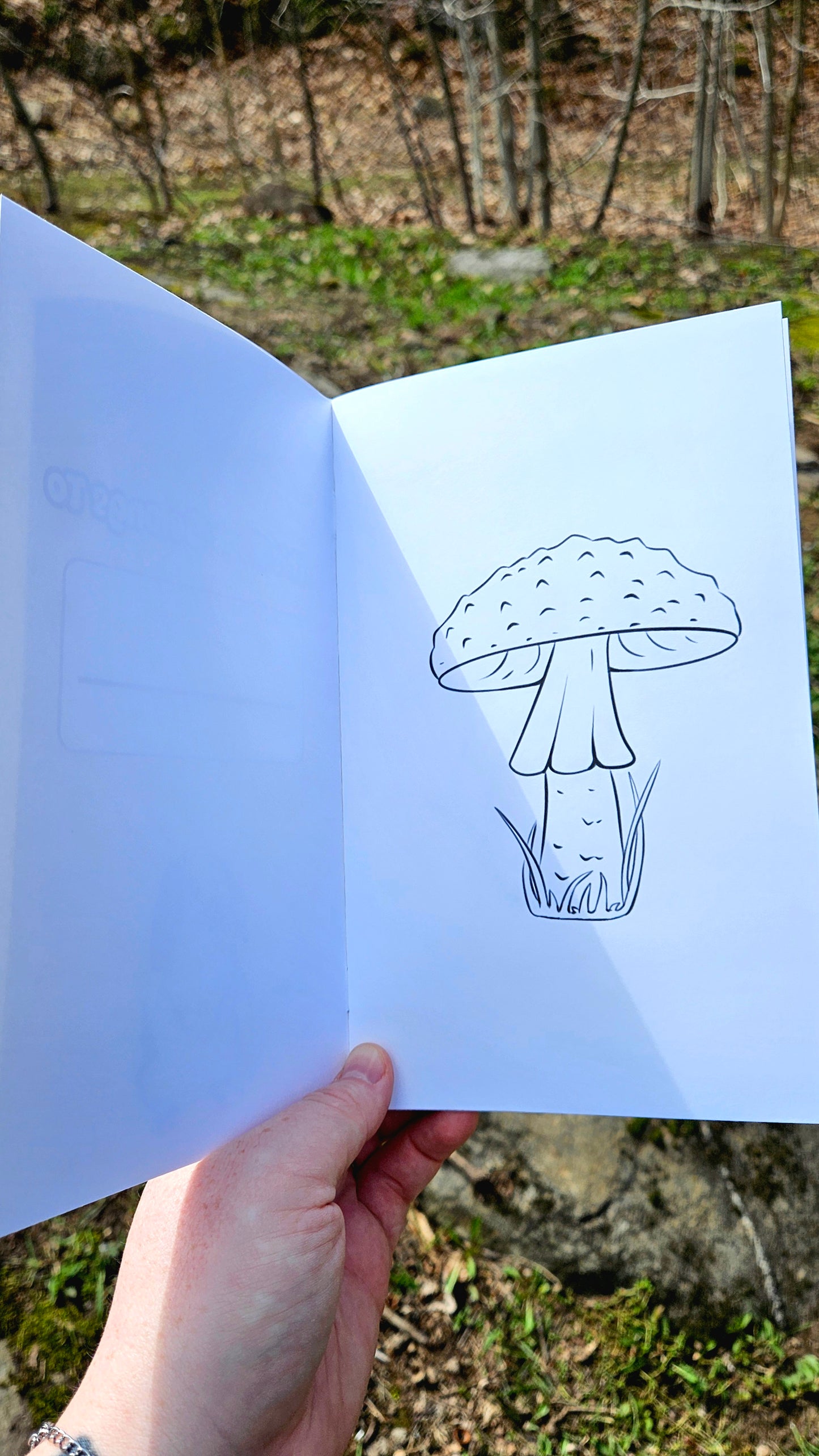 Forest Friends Colouring Book