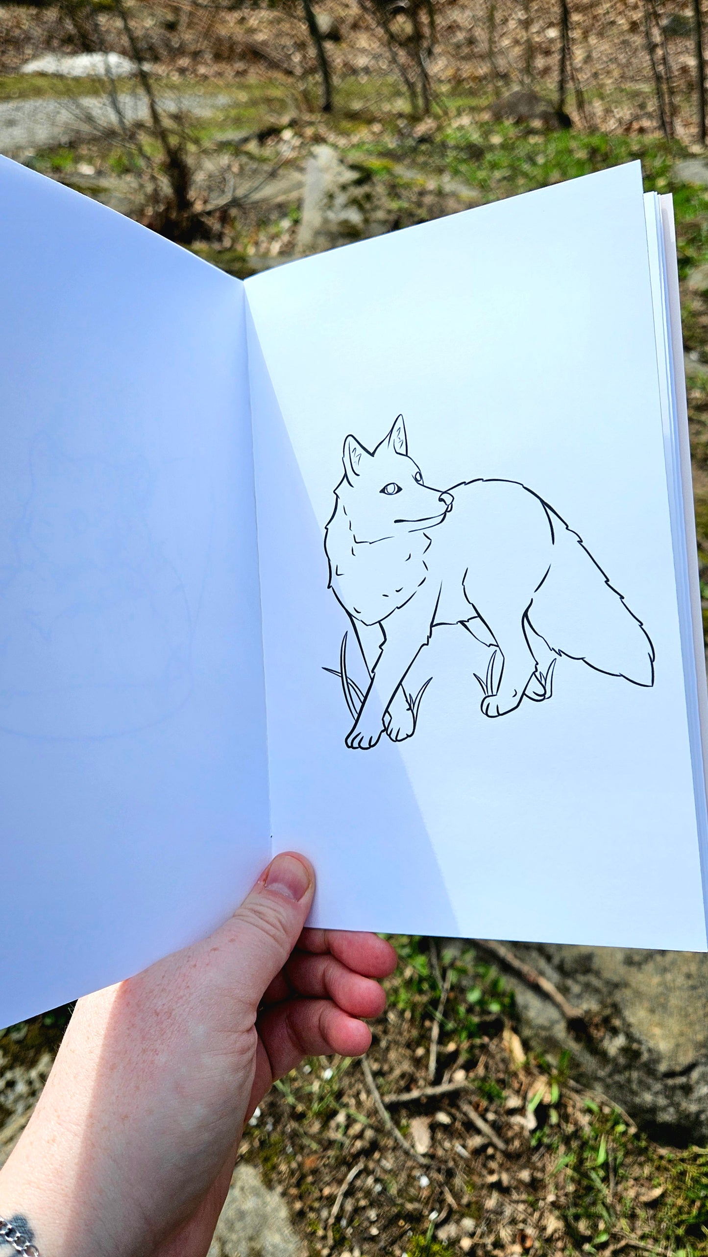 Forest Friends Colouring Book