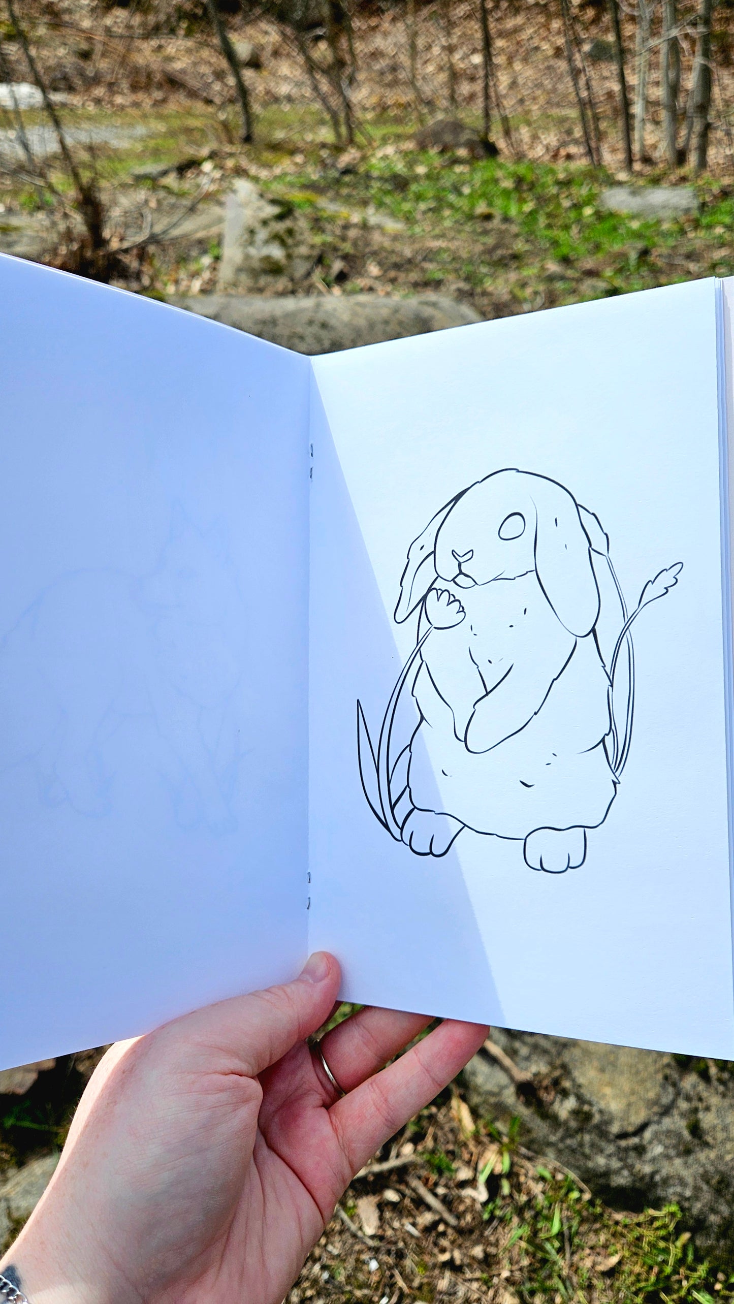 Forest Friends Colouring Book