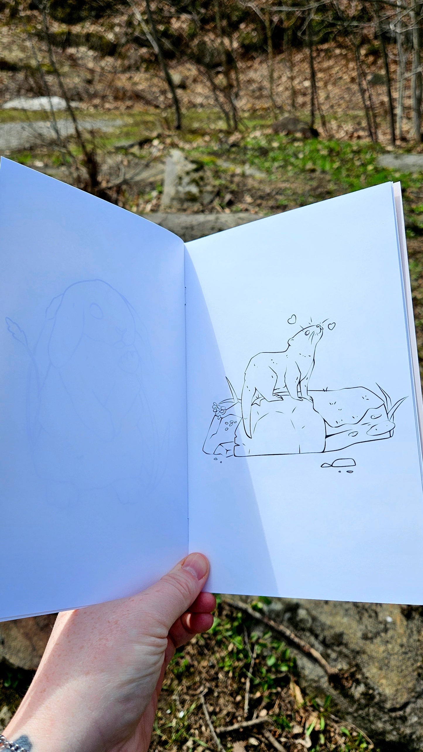 Forest Friends Colouring Book