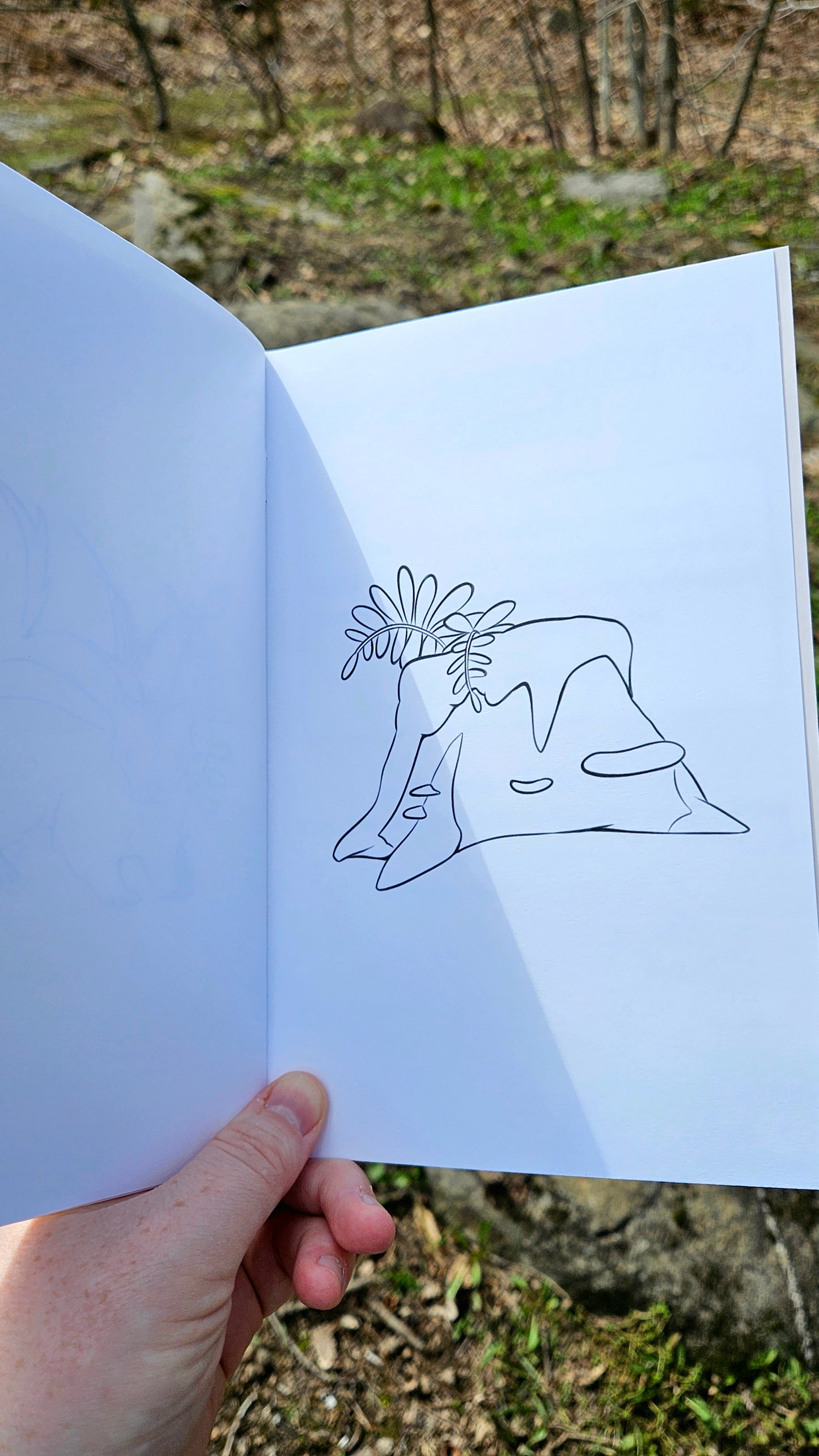 Forest Friends Colouring Book