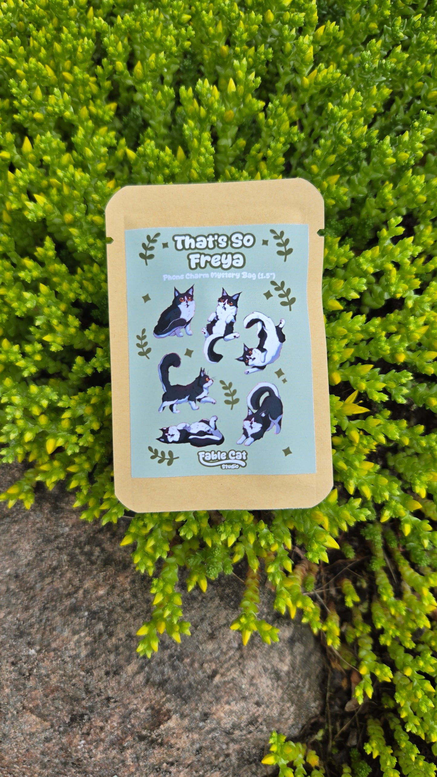 That's So Freya Mystery Bag Acrylic Phone Charms