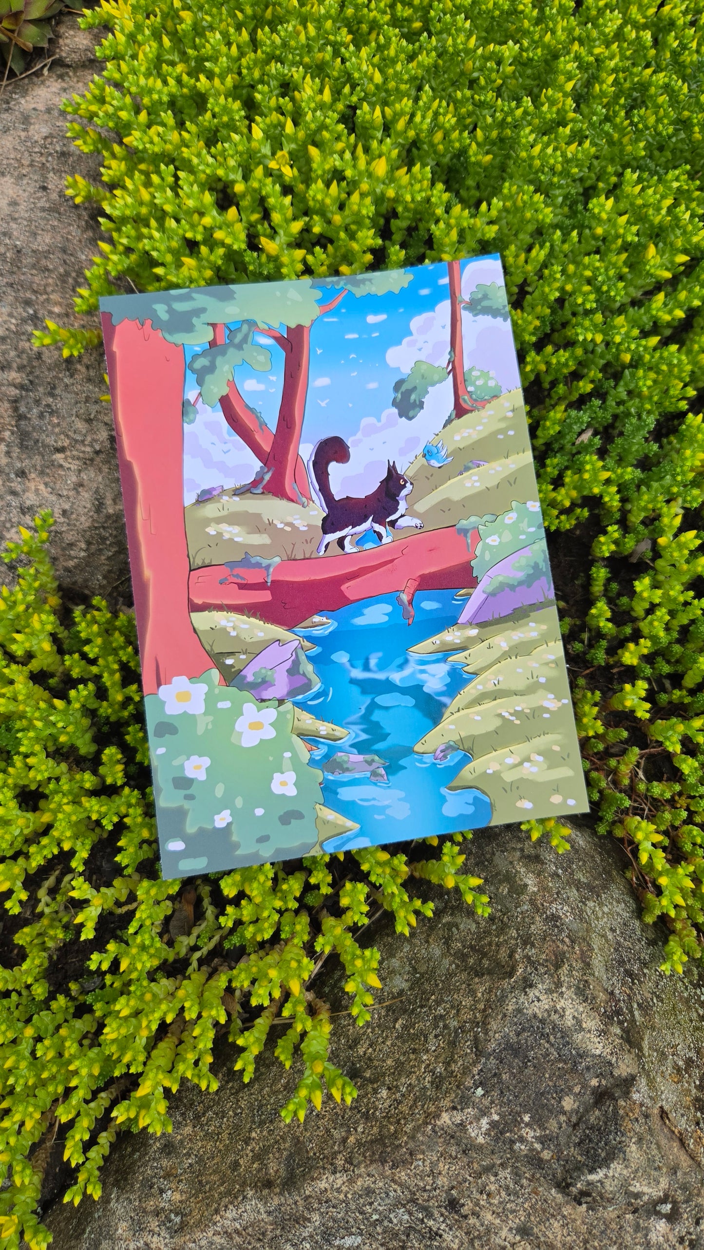 A Trip in The Forest Mini Art Print 5x7