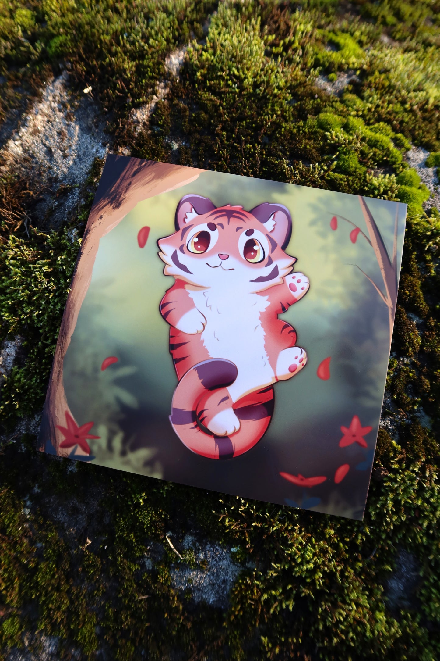 Square 6x6 Kio the Tiger Print